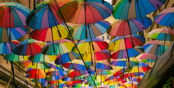 LW: What Is The Significance of Being an Other - Photo by Paul Bryan on Unsplash